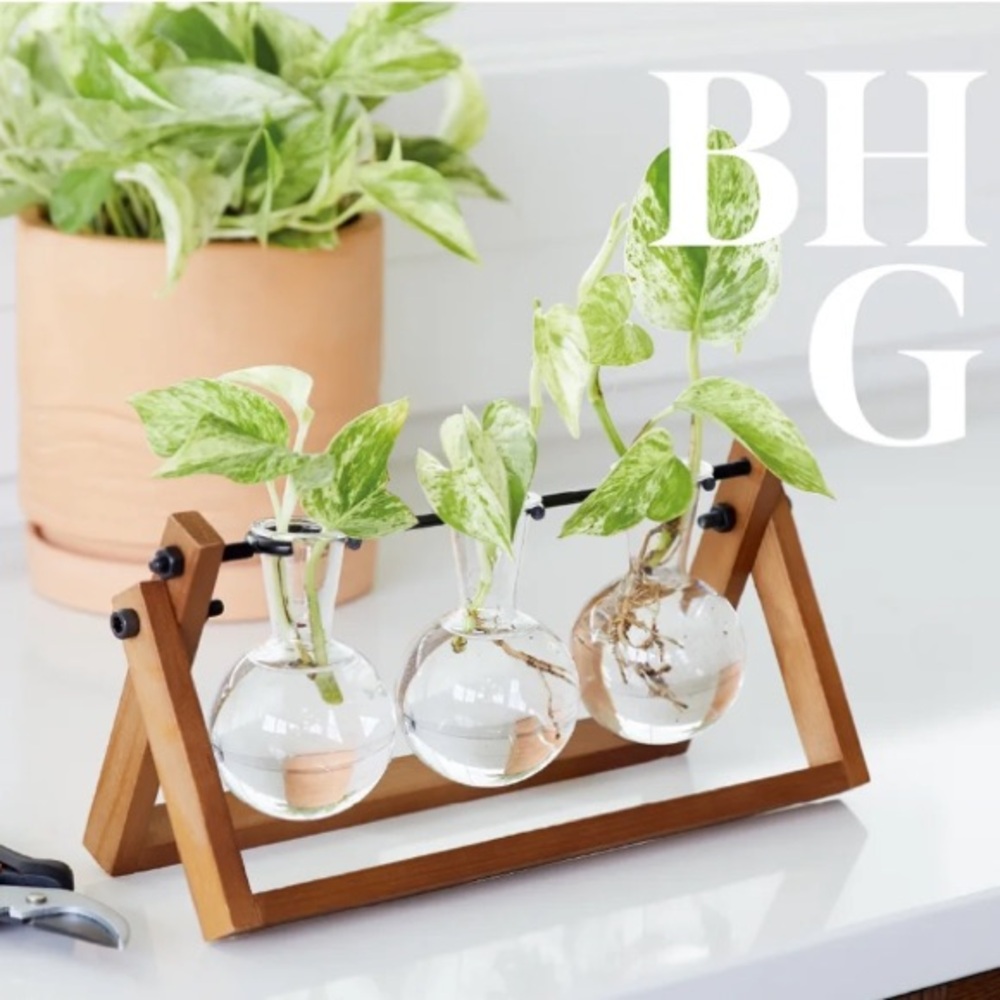 Better Homes And Gardens Brown Wooden Propagation Station with Clear Glass Bulbs
